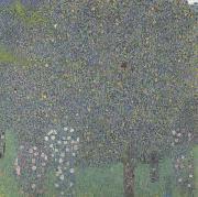 Rose Bushes Under the Trees (mk20), Gustav Klimt